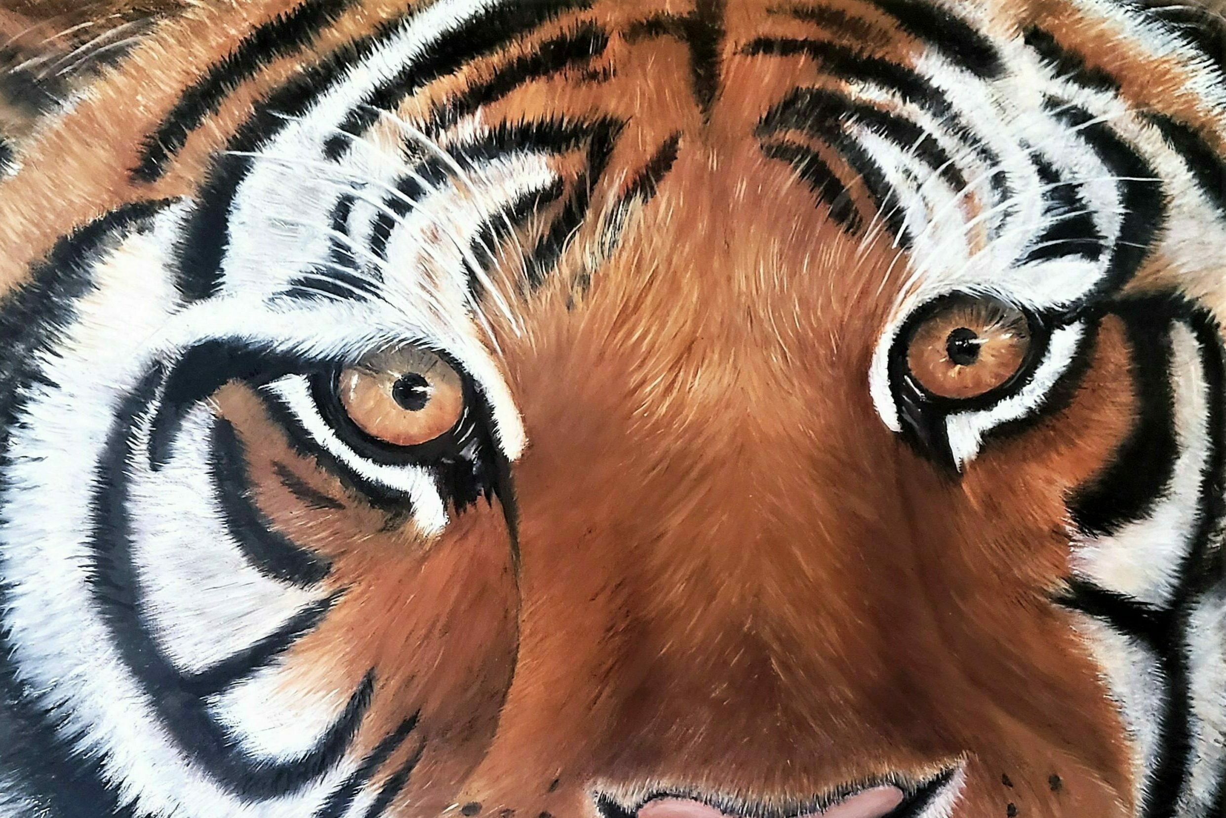 Tiger Eyes